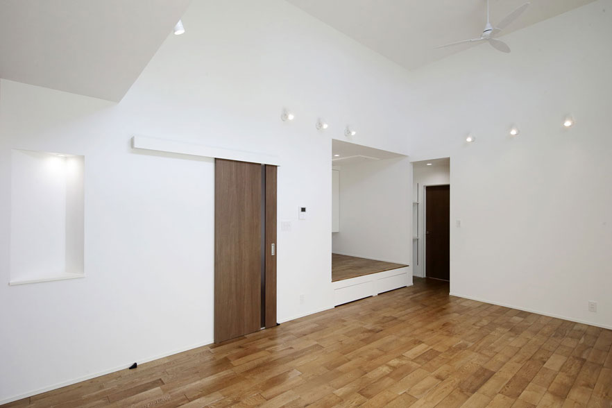 Cool Beauty関連画像