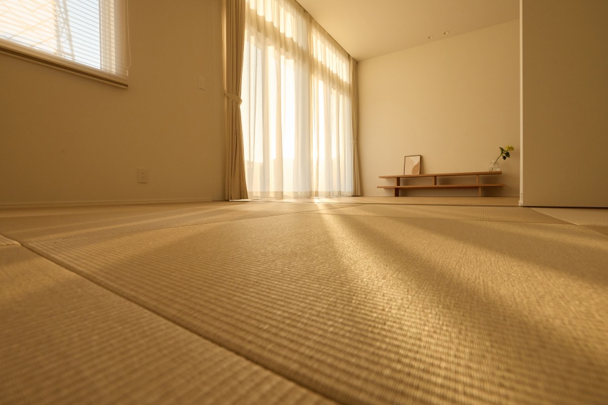 光と影が織りなす情景。関連画像
